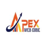 Apex Web Cube Profile Picture