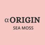 Origin Sea Moss Profile Picture