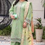 Pakistani Plus Size Dresses Profile Picture