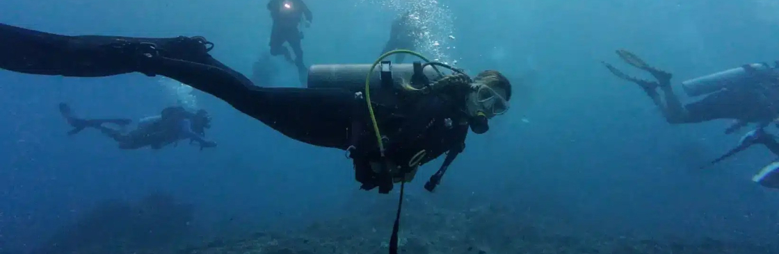BALI FUN DIVING Cover Image