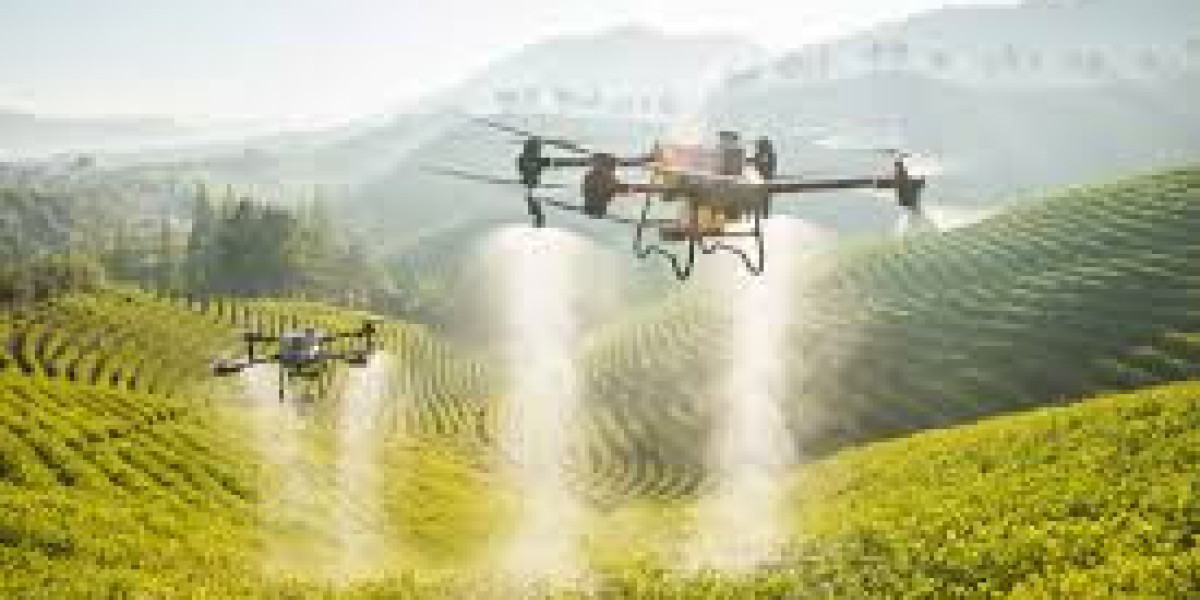 Who Can Benefit Most from Agricultural Drone Services?